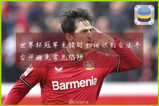 世界杯冠军竞猜时如何识别合法平台并避免常见陷阱