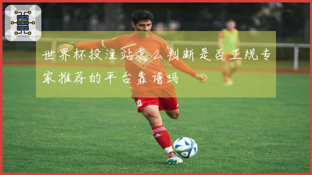 世界杯投注站怎么判断是否正规专家推荐的平台靠谱吗