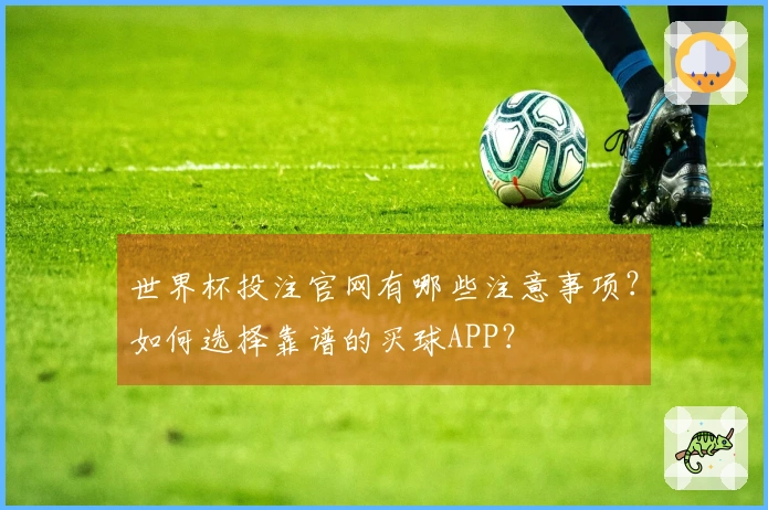 世界杯投注官网有哪些注意事项?如何选择靠谱的买球APP?
